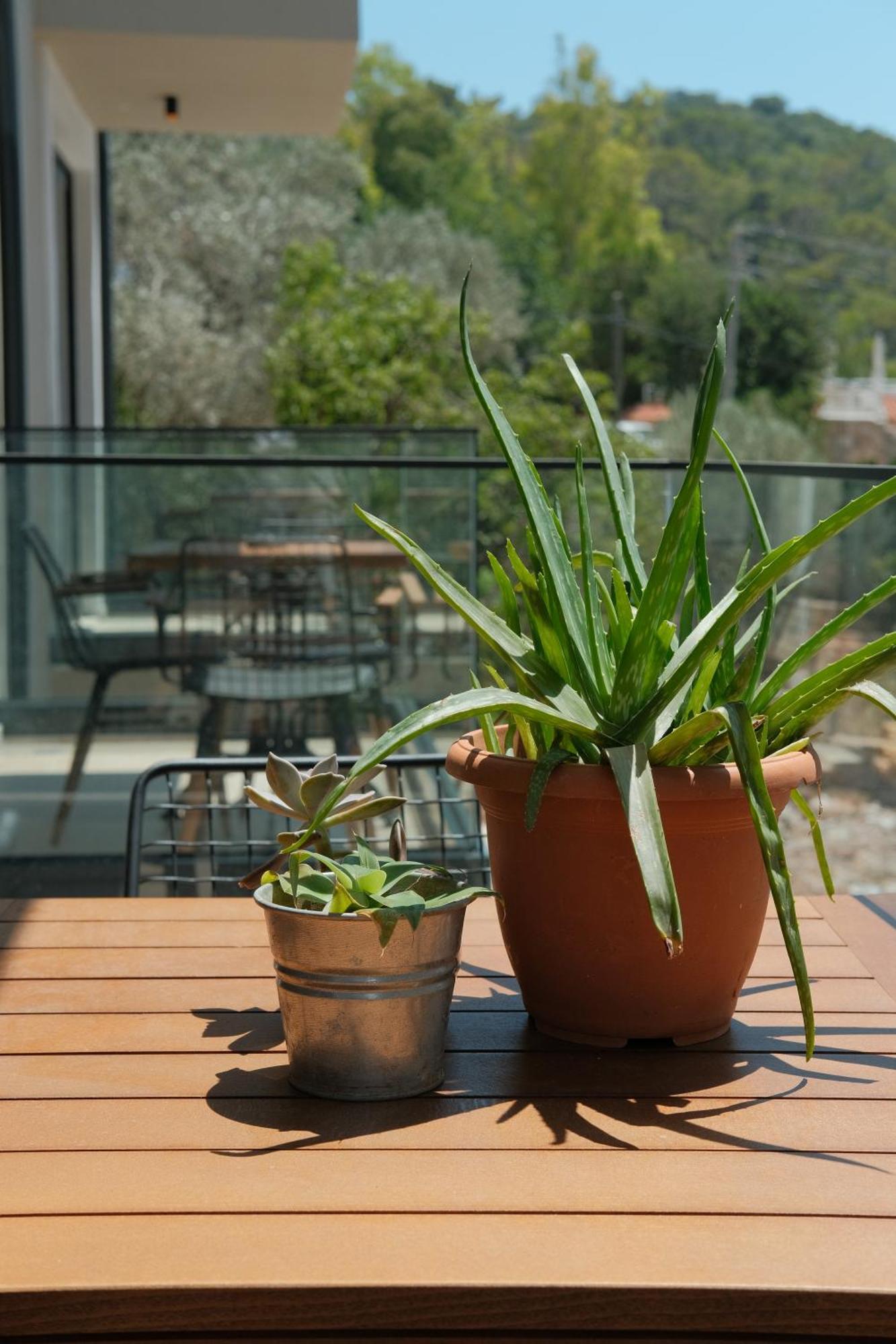 Kaktus Suites Kaş Exteriör bild