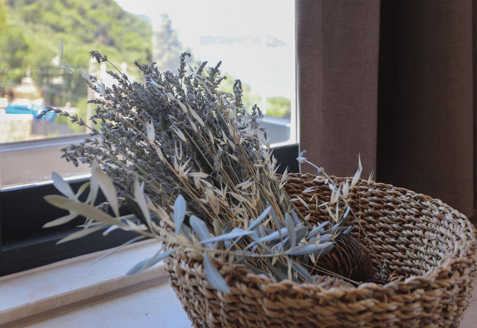 Kaktus Suites Kaş Exteriör bild